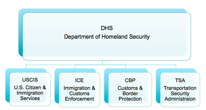 Department Of Homeland Security Chart