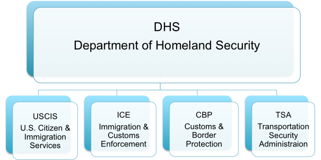 dhs chart | NYC Immigration | Law Office of Rachel Einbund