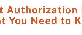 Employment Authorization Documents: What You Need to Know