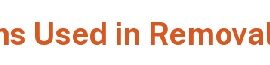 Common Terms Used in Removal Proceedings